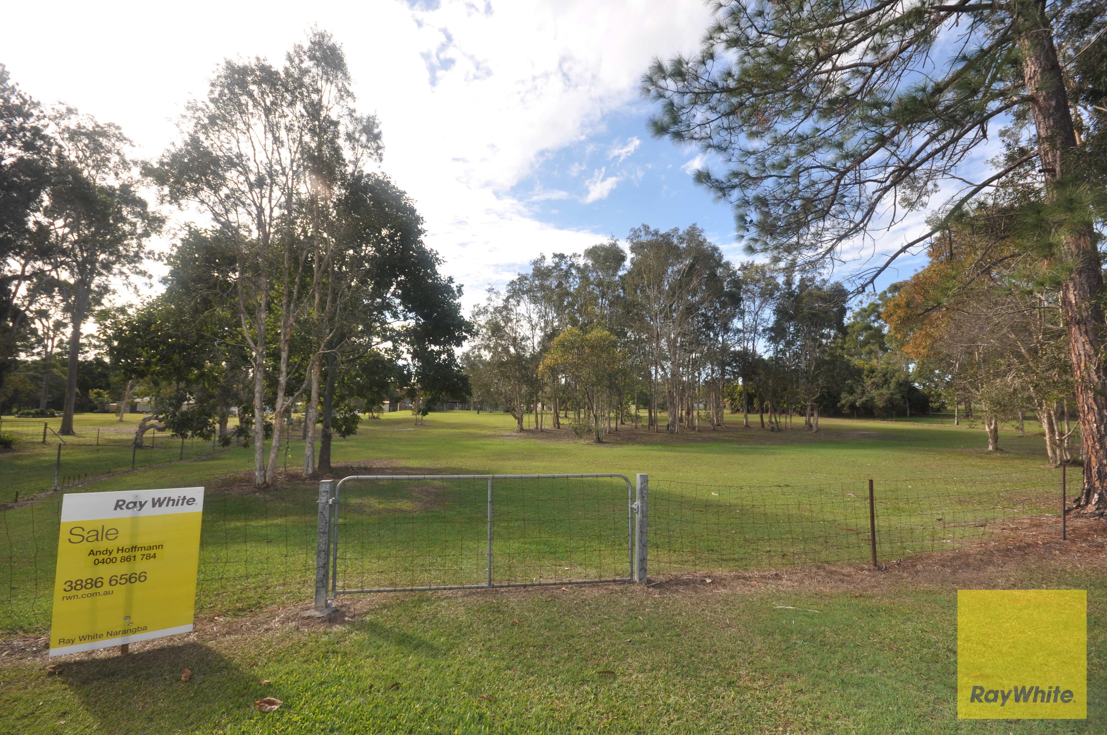 46 Morrison Street, Narangba QLD 4504, Narangba - Thumbnail 4
