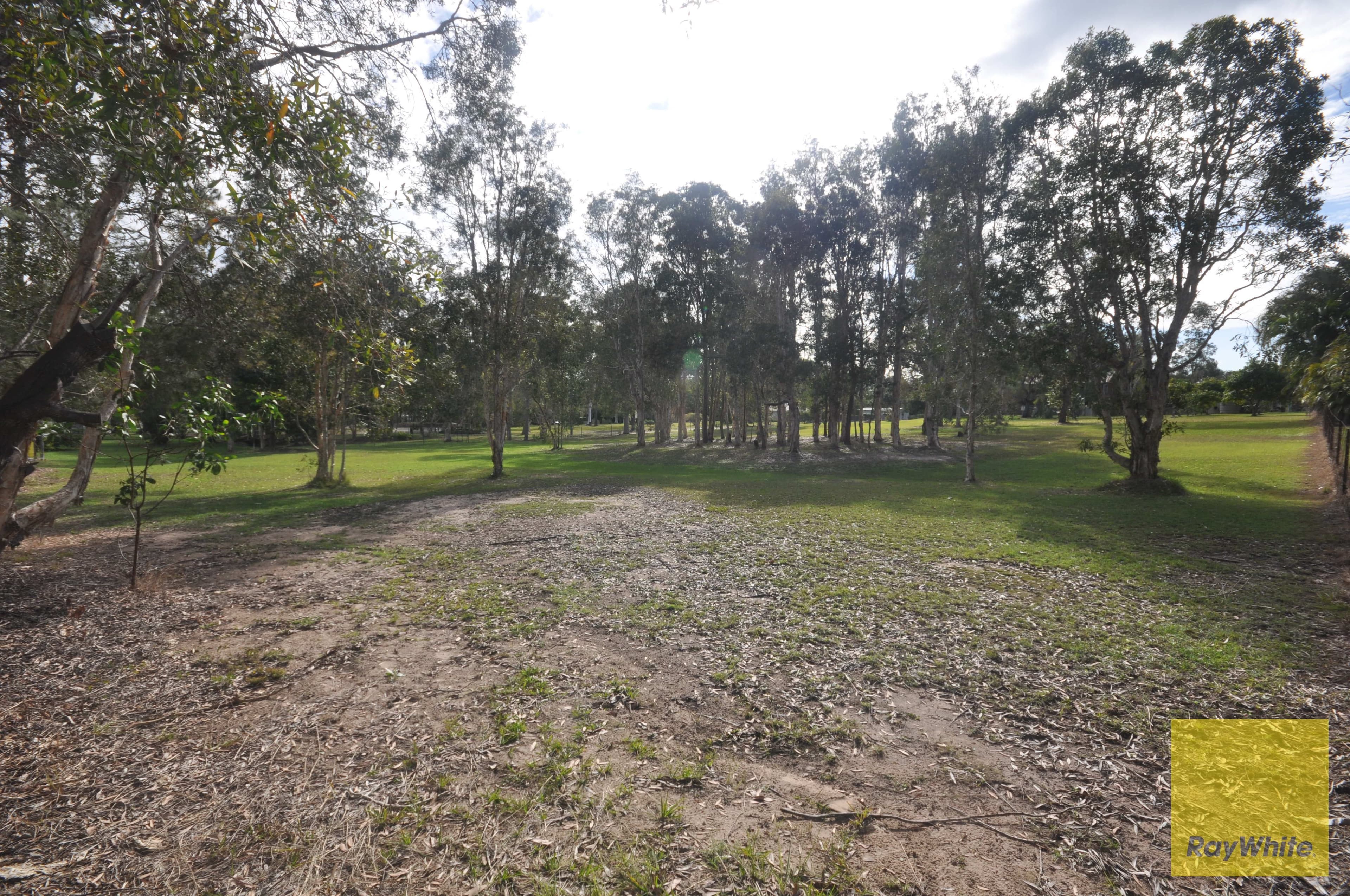 46 Morrison Street, Narangba QLD 4504, Narangba - Thumbnail 6