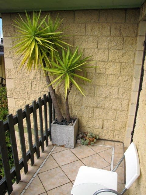 30 Camfield Street, ALEXANDRA HEADLAND QLD 4572, Alexandra Headland - Thumbnail 7