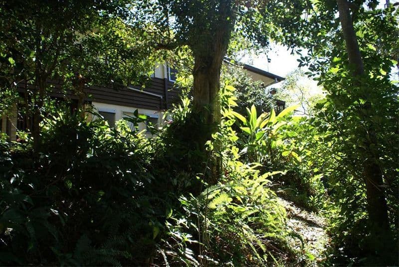16 Roedean Street, FIG TREE POCKET QLD 4069, Fig Tree Pocket - Thumbnail 8