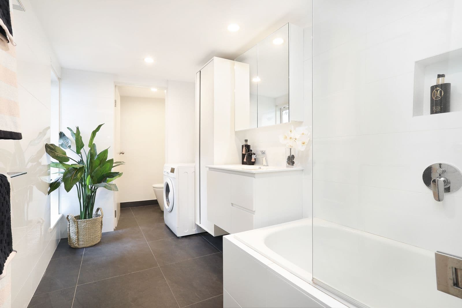 6 Cecily Street, Lilyfield NSW 2040, Lilyfield - Thumbnail 4