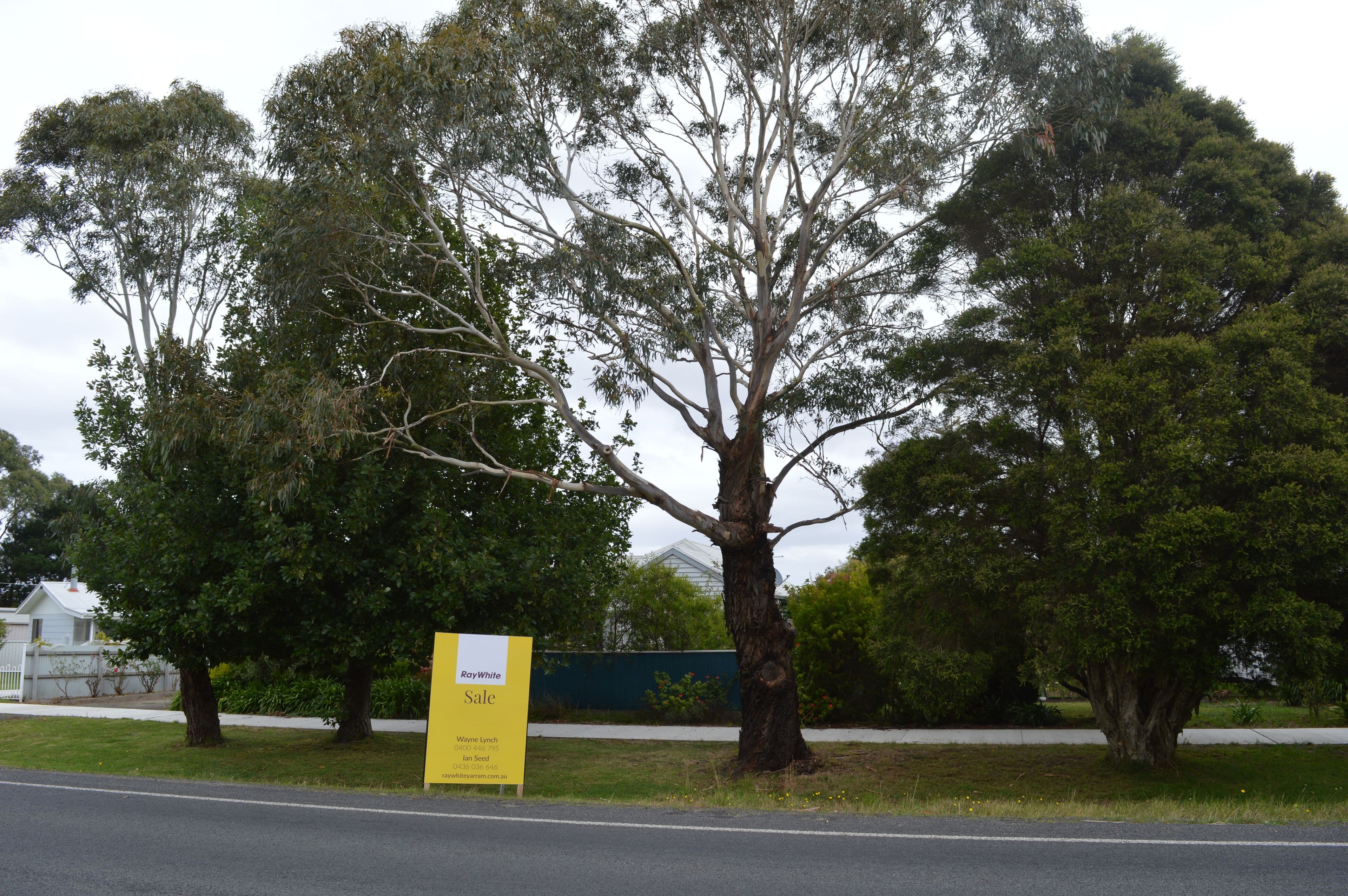 95 Turnbull Street, Alberton VIC 3971, Alberton - Thumbnail 3