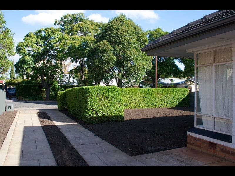 12 Pamphlet Lane, COOMERA, QLD, 4209, Coomera - Thumbnail 7