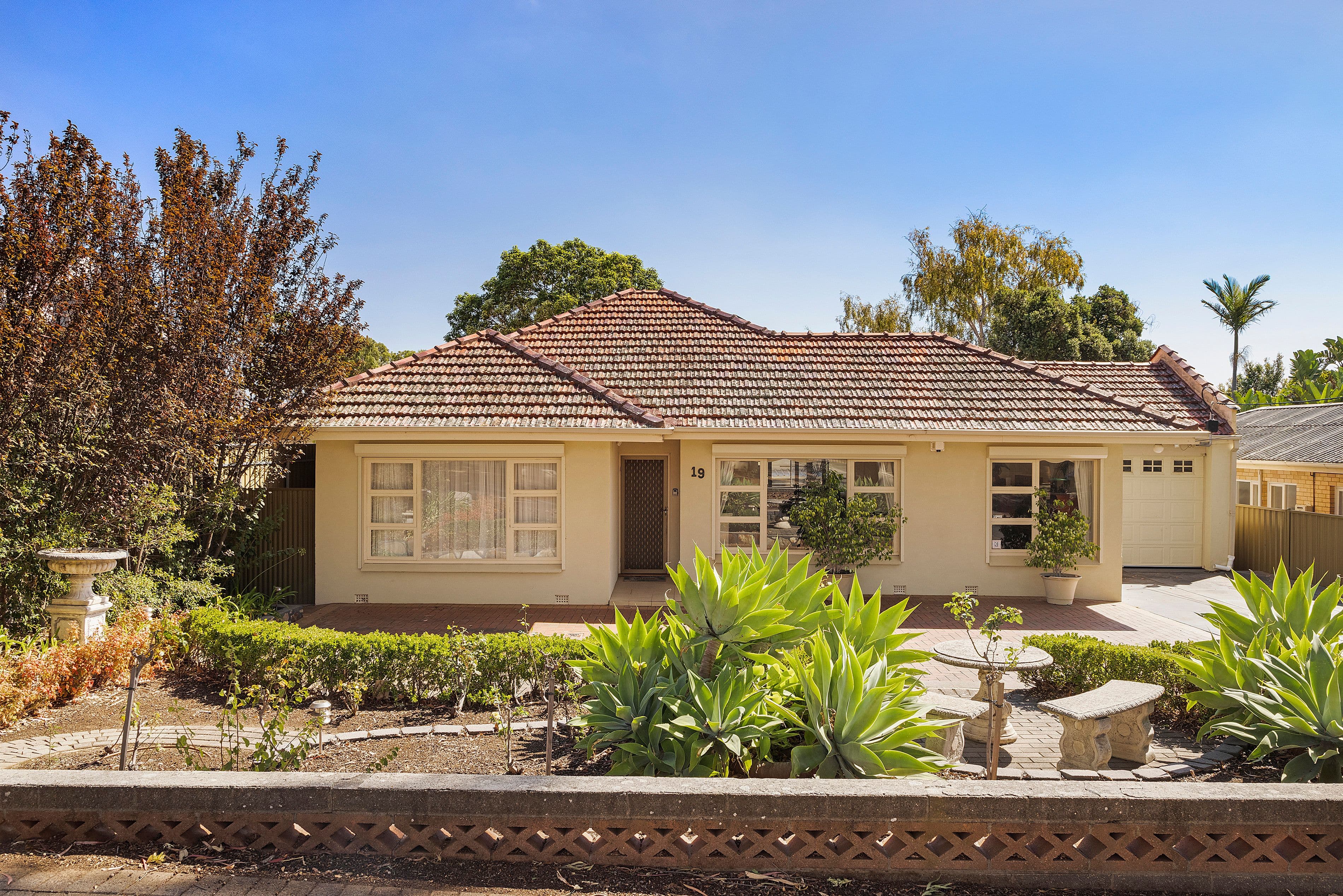 19 Edgcumbe Terrace, Rosslyn Park SA 5072, Rosslyn Park - Image 1