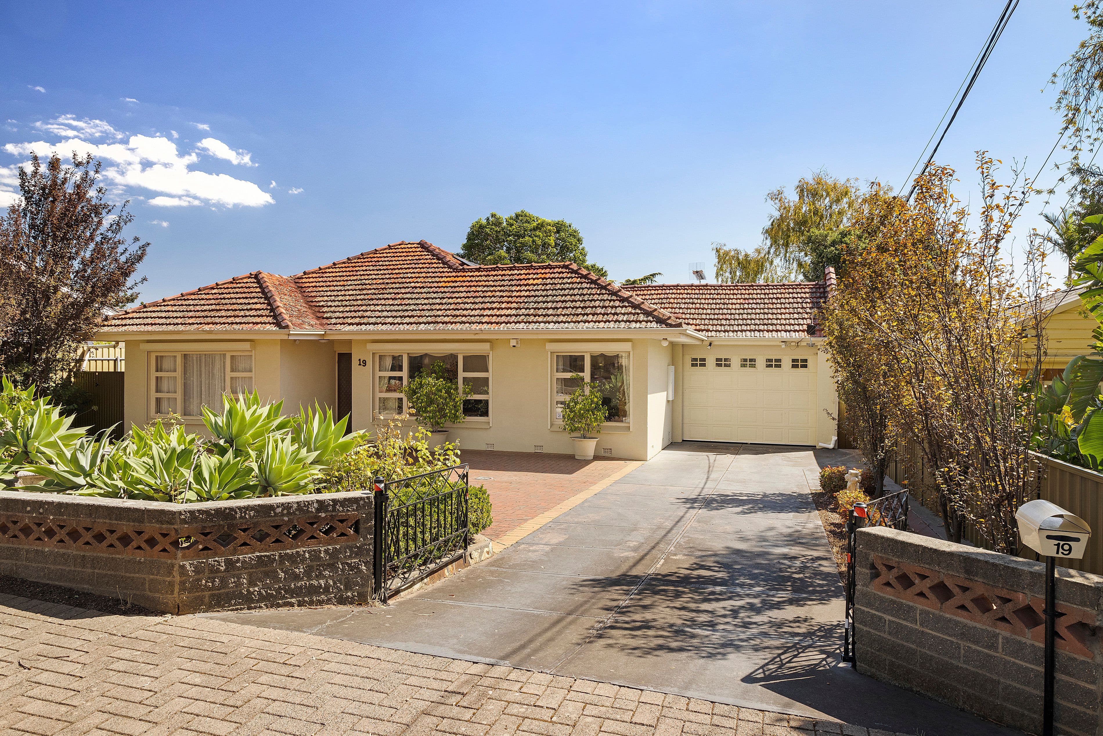 19 Edgcumbe Terrace, Rosslyn Park SA 5072, Rosslyn Park - Thumbnail 2