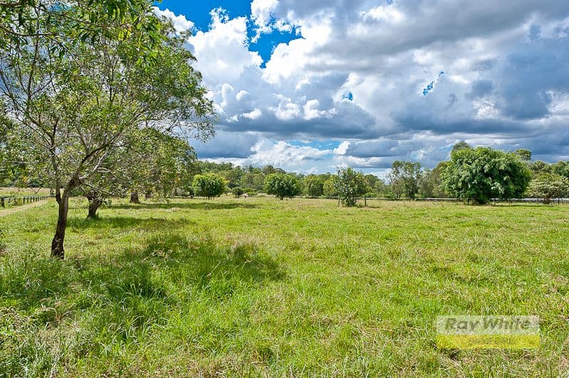 168 Betts Road, CAMP MOUNTAIN QLD 4520, Camp Mountain - Thumbnail 6