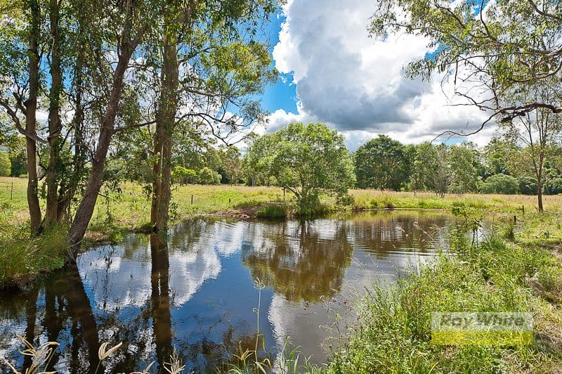 168 Betts Road, CAMP MOUNTAIN QLD 4520, Camp Mountain - Thumbnail 7