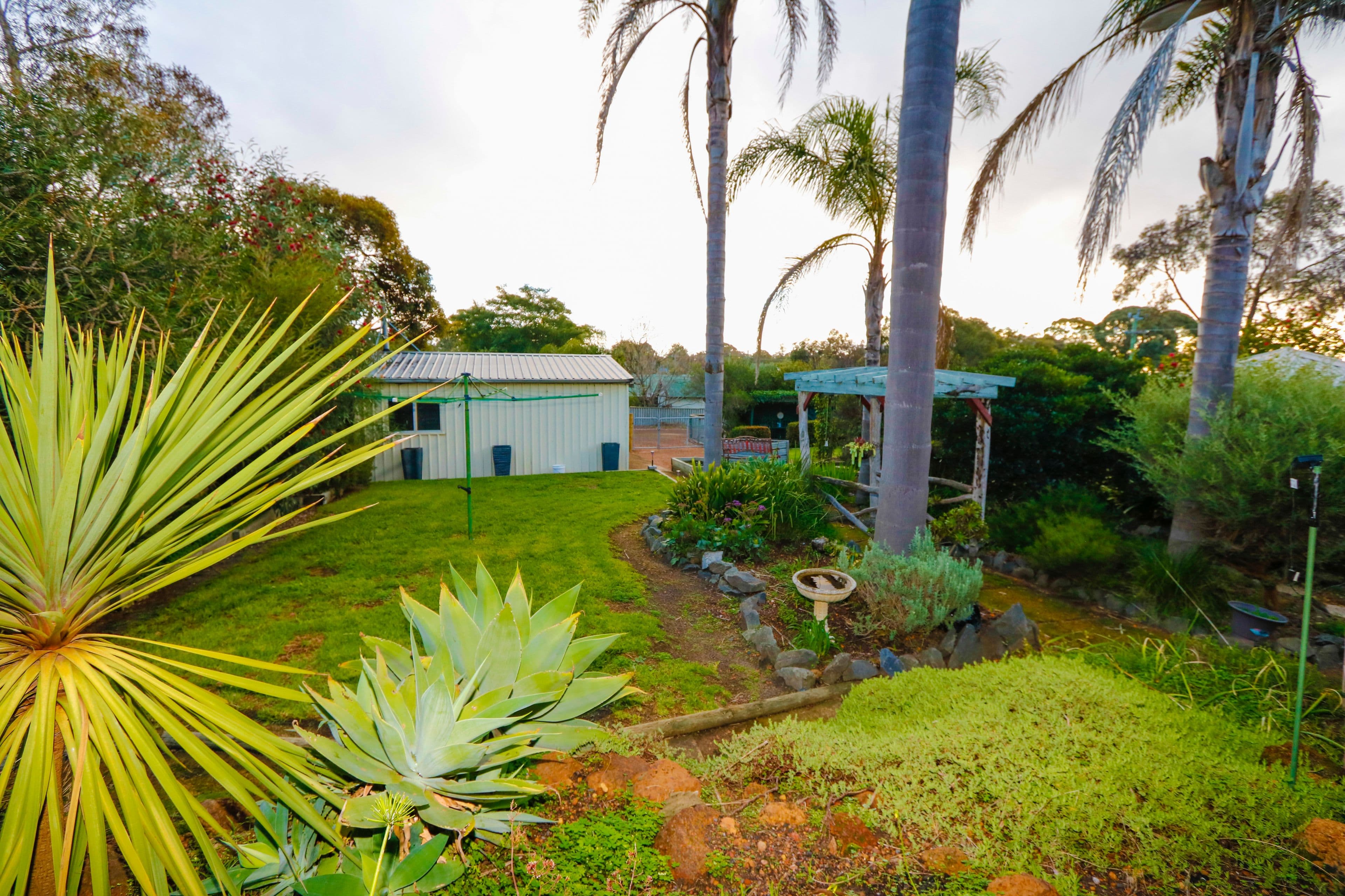19 George Street, Greenbushes WA 6254, Greenbushes - Thumbnail 3