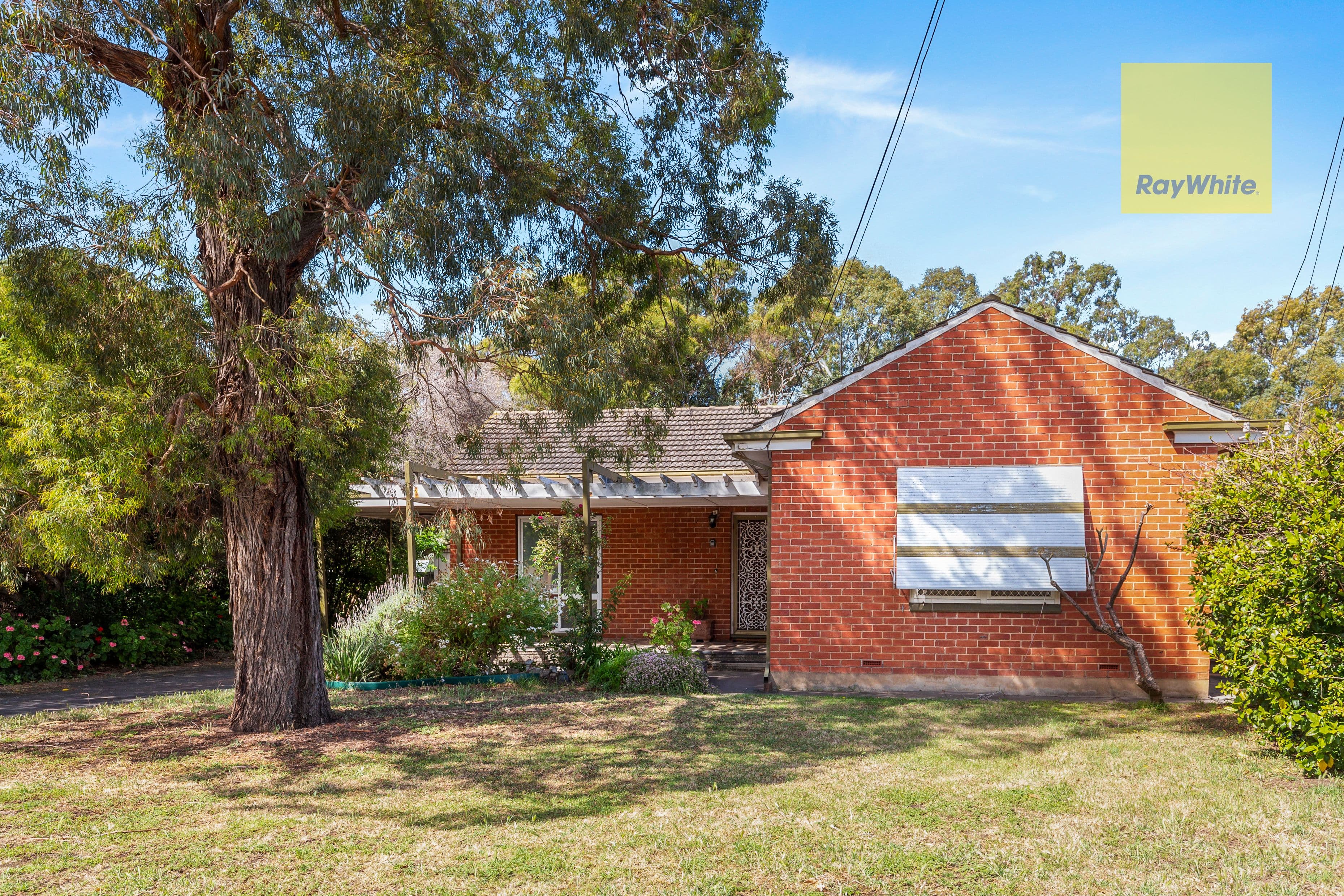 13 Simmons Crescent, Flinders Park SA 5025, Flinders Park - Thumbnail 2