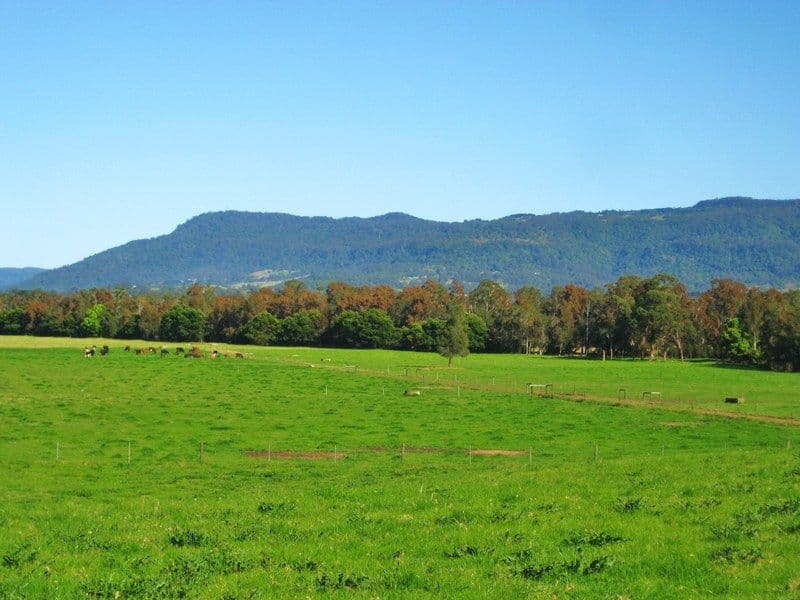 Lot 52 Coolangatta Road, BERRY NSW 2535, Berry - Thumbnail 3