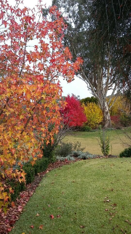 14 Eden Valley Road, Warranwood
    
    
      
        1,032 m2, Warranwood - Thumbnail 4