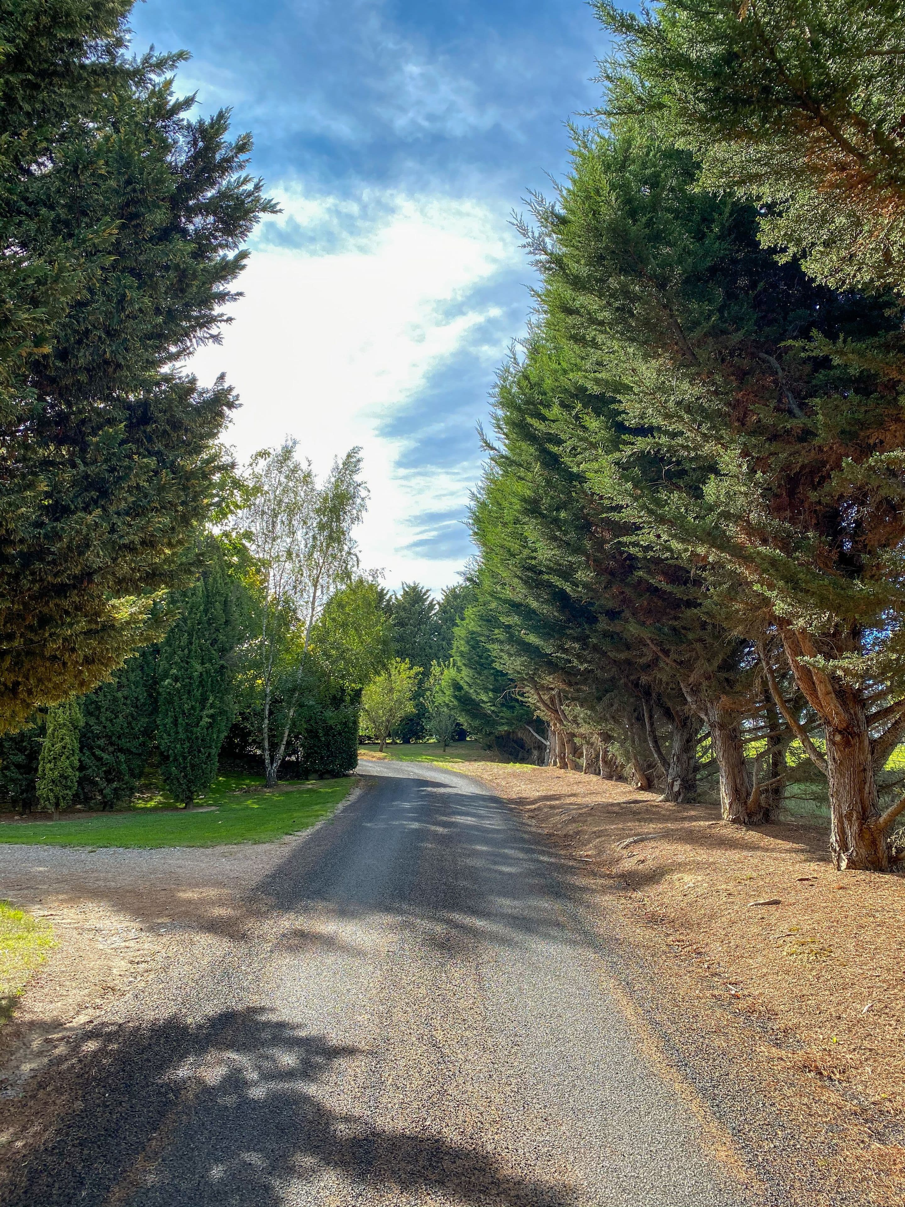204 Albion Street, Oberon NSW 2787, Oberon - Thumbnail 5