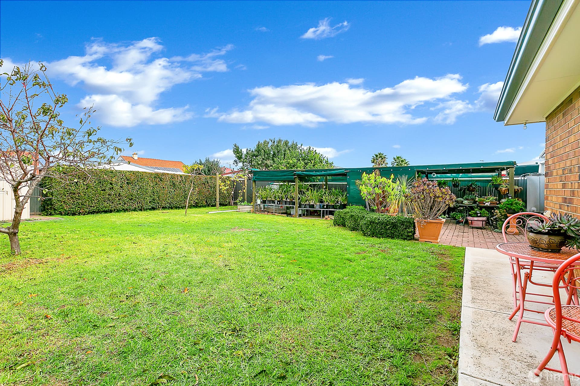 50 Craig Street, Richmond - Thumbnail 4