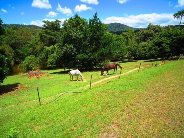 9 Outlook Crescent, Kuranda QLD 4881, Kuranda - Thumbnail 3