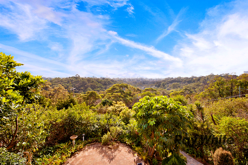 40 Millwood Avenue, CHATSWOOD NSW 2067, Chatswood West - Thumbnail 6
