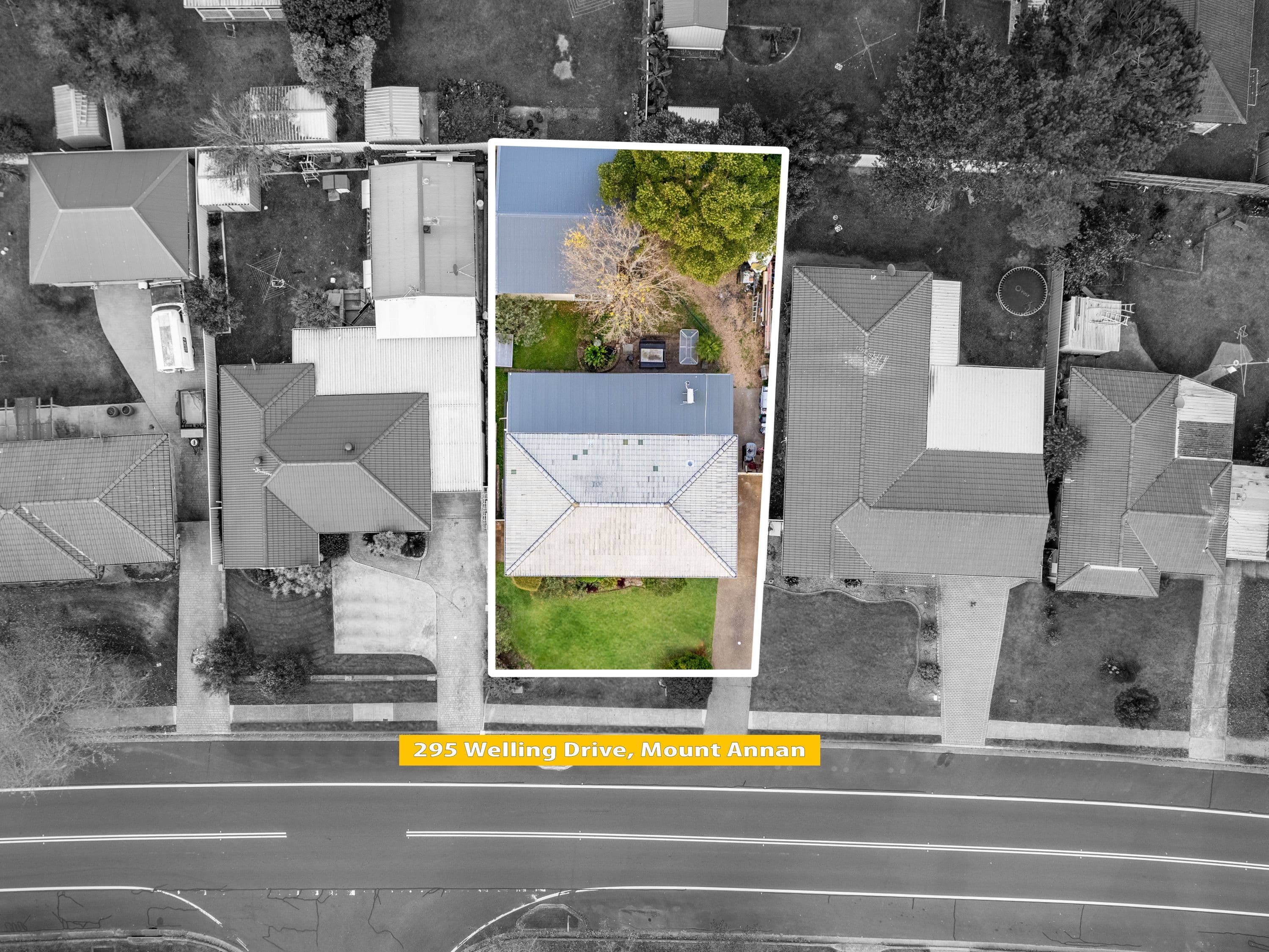 295 welling Drive, Mount Annan NSW 2567, Mount Annan - Thumbnail 2