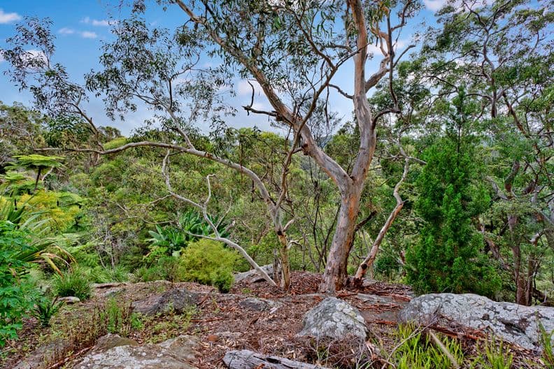 22 Athlone Crescent, Killarney Heights NSW 2087, Killarney Heights - Thumbnail 3
