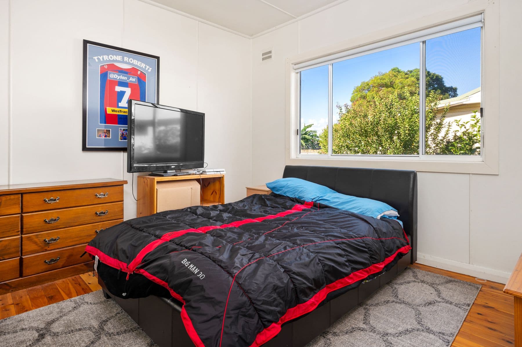 6 Collett Avenue, Singleton NSW 2330, Singleton - Thumbnail 5