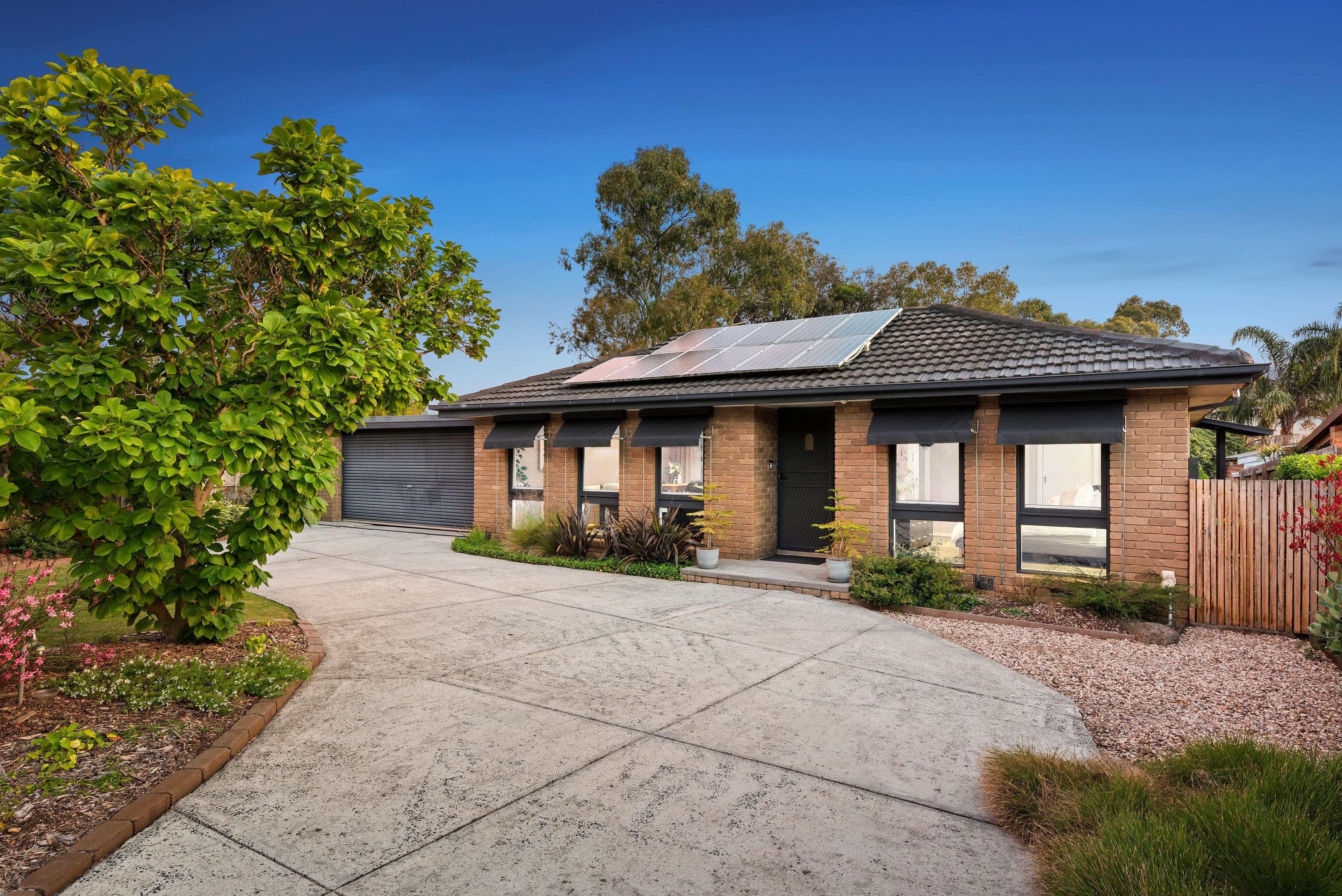 66 Michael Street, Scoresby VIC 3179, Scoresby - Image 1