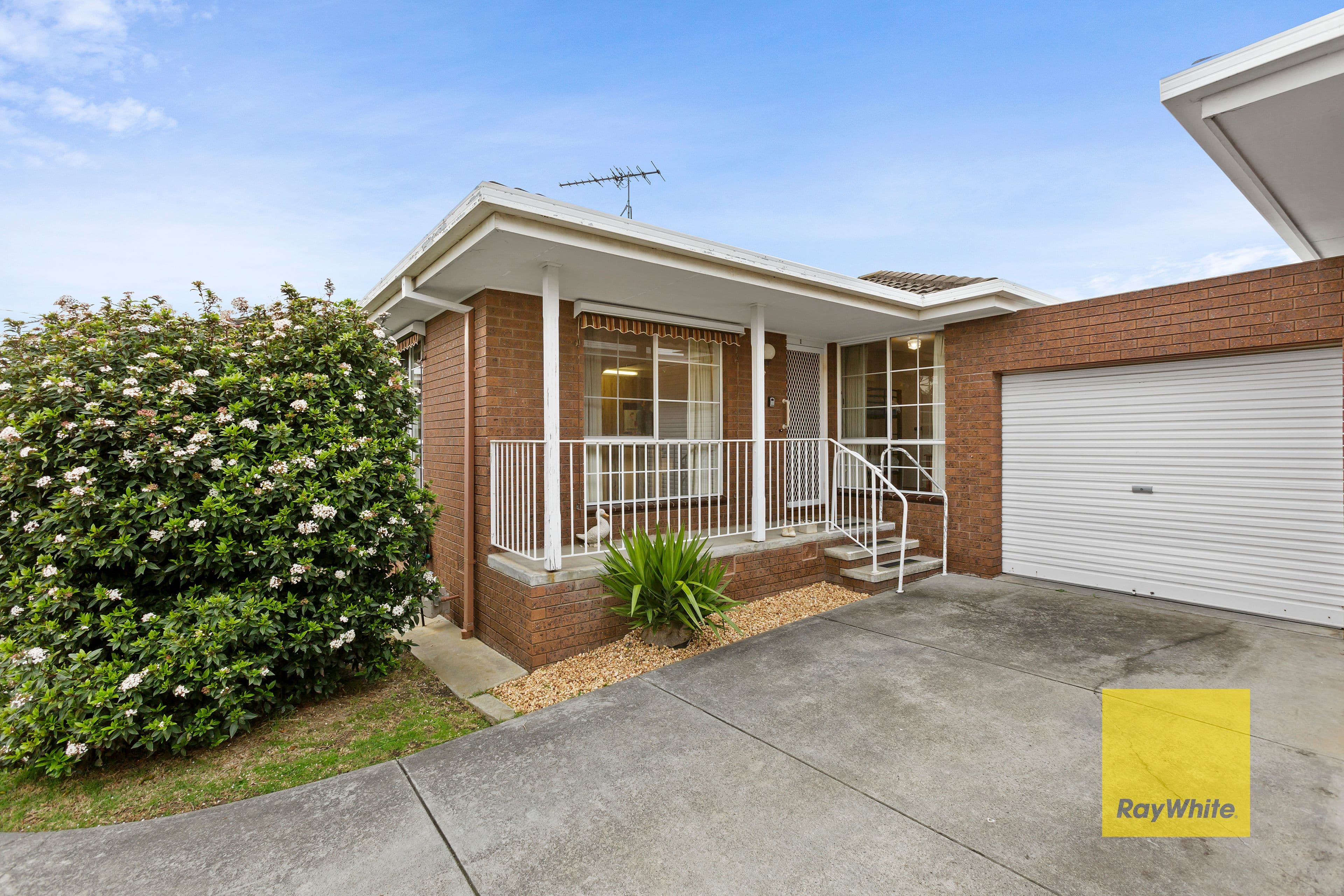 19 Bieske Road, Grovedale VIC 3216, Grovedale - Image 1