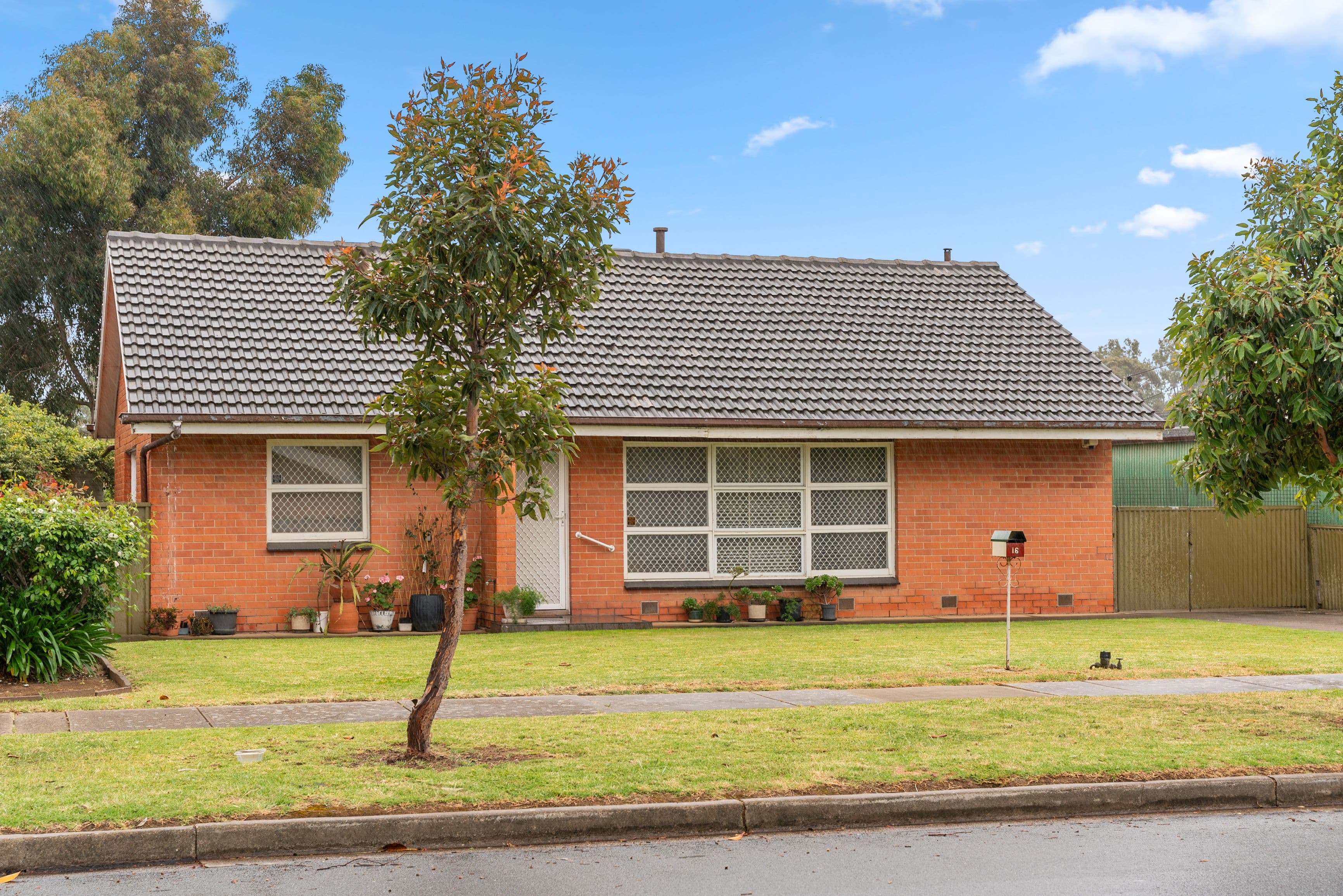 16 Cowley Avenue, Dudley Park SA 5008, Dudley Park - Thumbnail 3