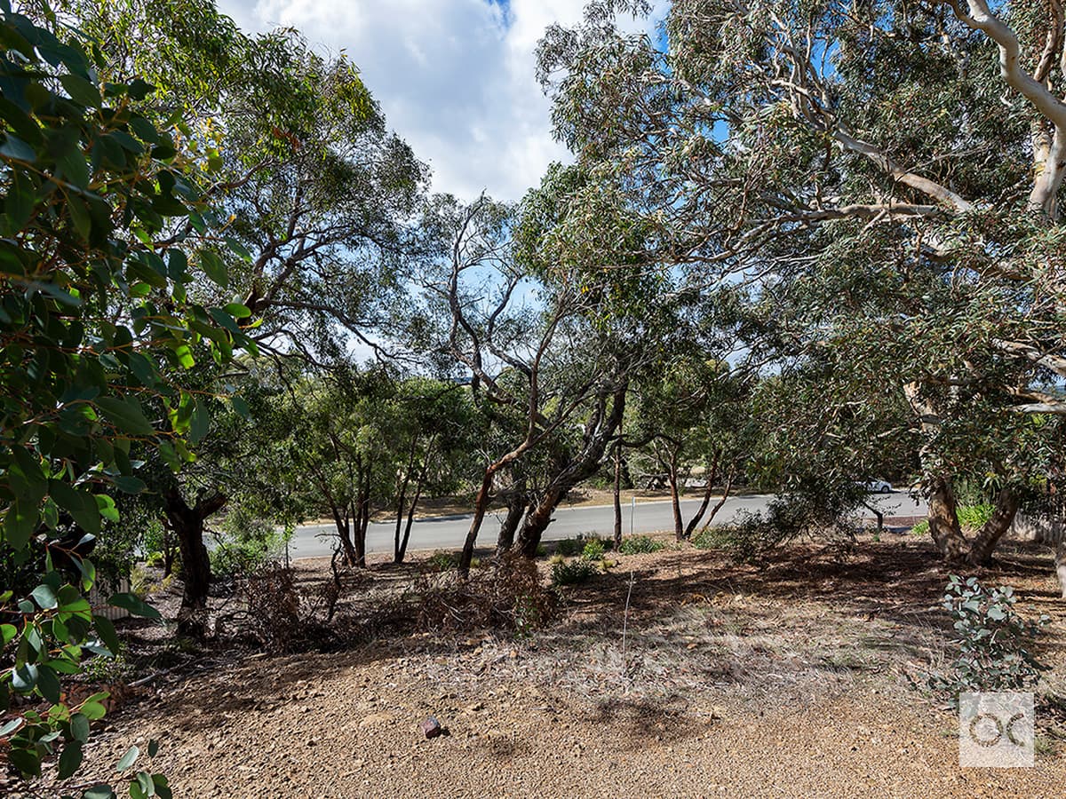 9 George Francis Drive, Mount Compass - Thumbnail 4