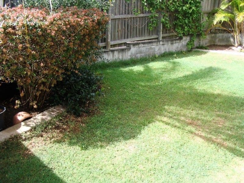 35 Newhaven Street, ALEXANDRA HILLS QLD 4161, Alexandra Hills - Thumbnail 8