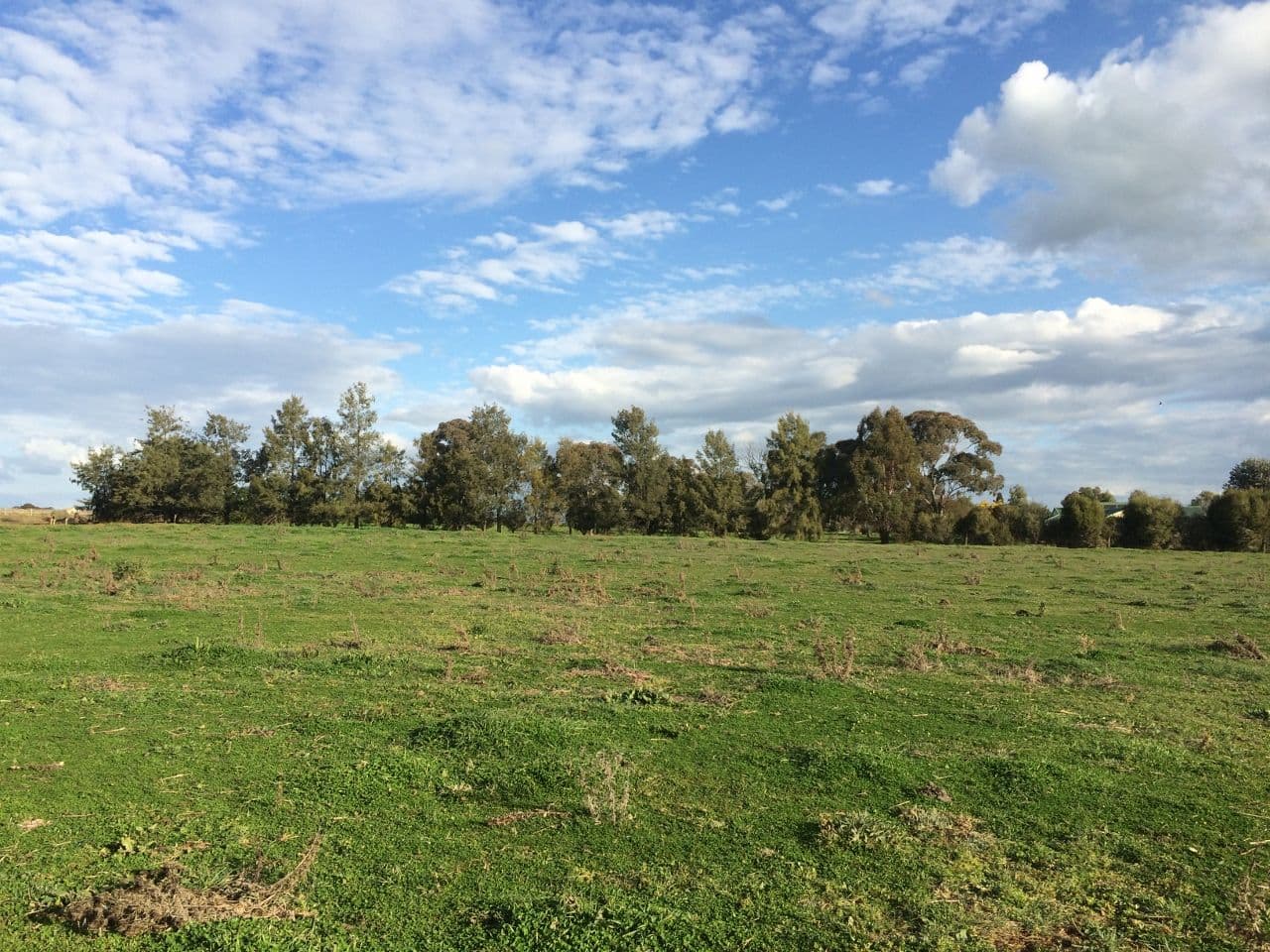  263 Camp Road, Cowra NSW 2794, Cowra - Thumbnail 5