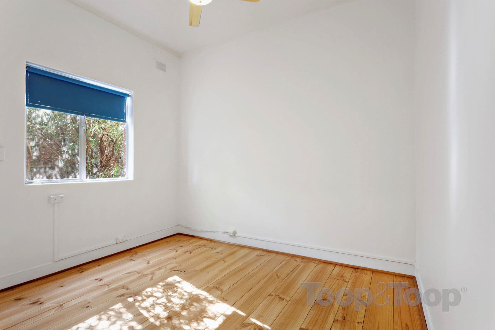 64 Baker Street, Glengowrie SA 5044, Glengowrie - Thumbnail 8