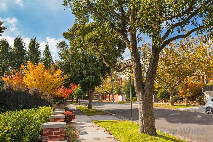 7 Wilson Street, Surrey Hills VIC 3127, Surrey Hills - Thumbnail 7