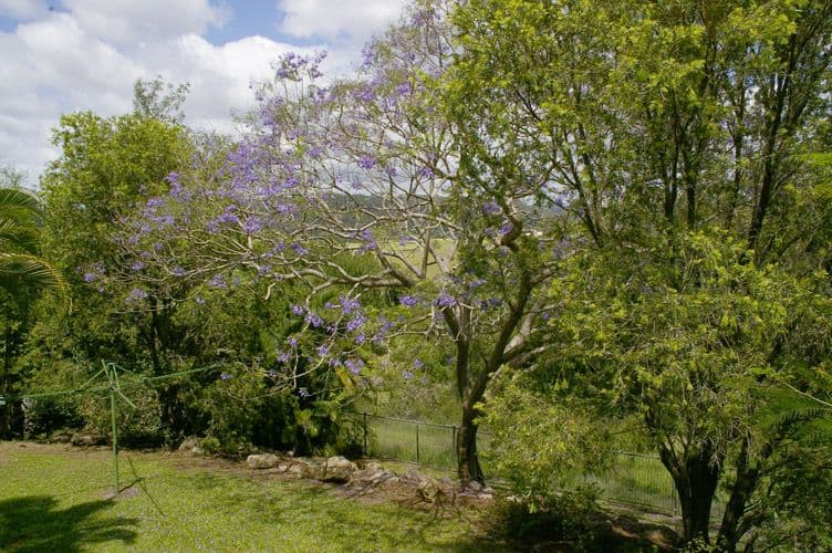 15 Conway Court, BLI BLI QLD 4560, Bli Bli - Thumbnail 2