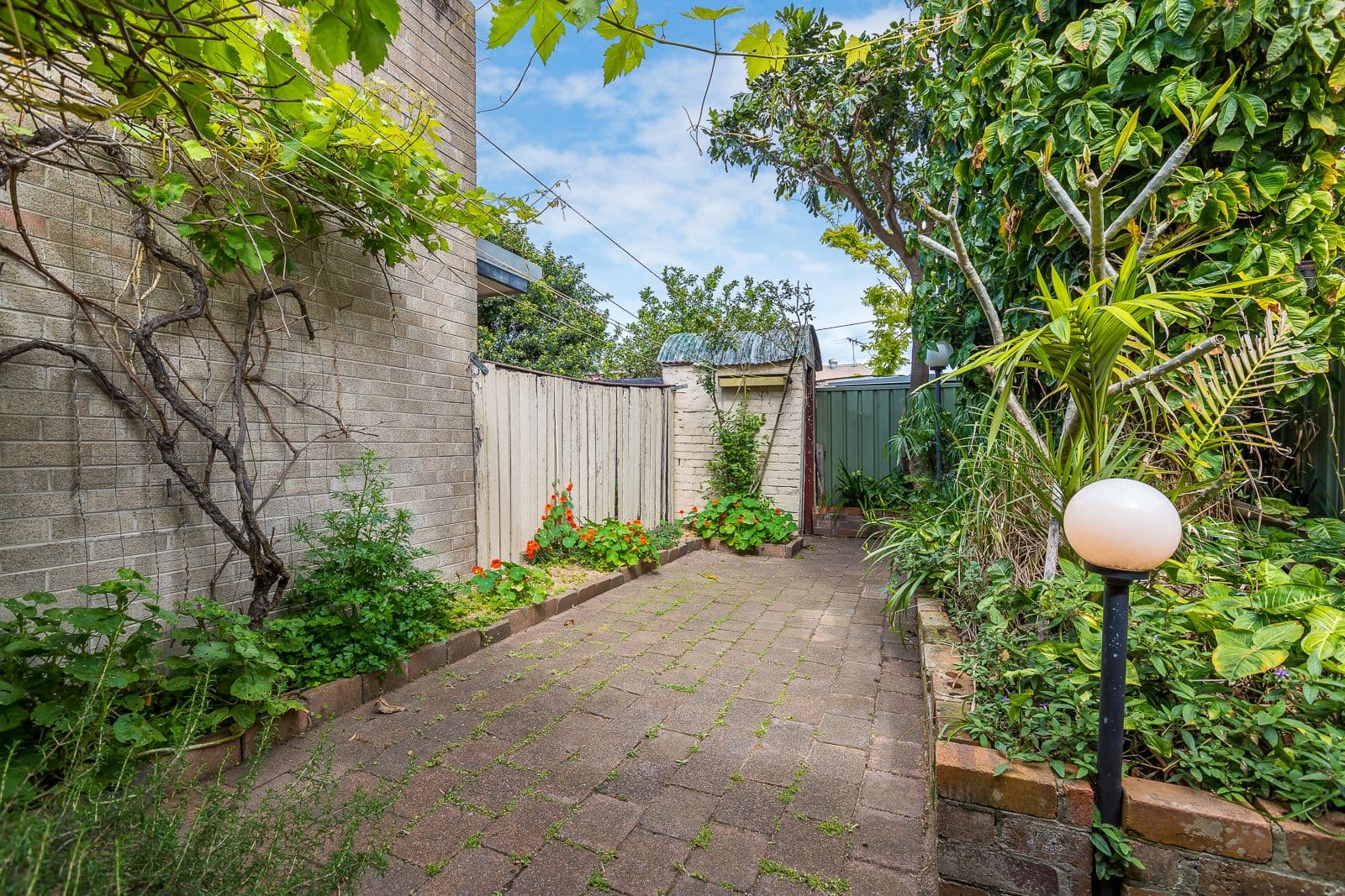 61 Gipps Street, Carrington - Thumbnail 6