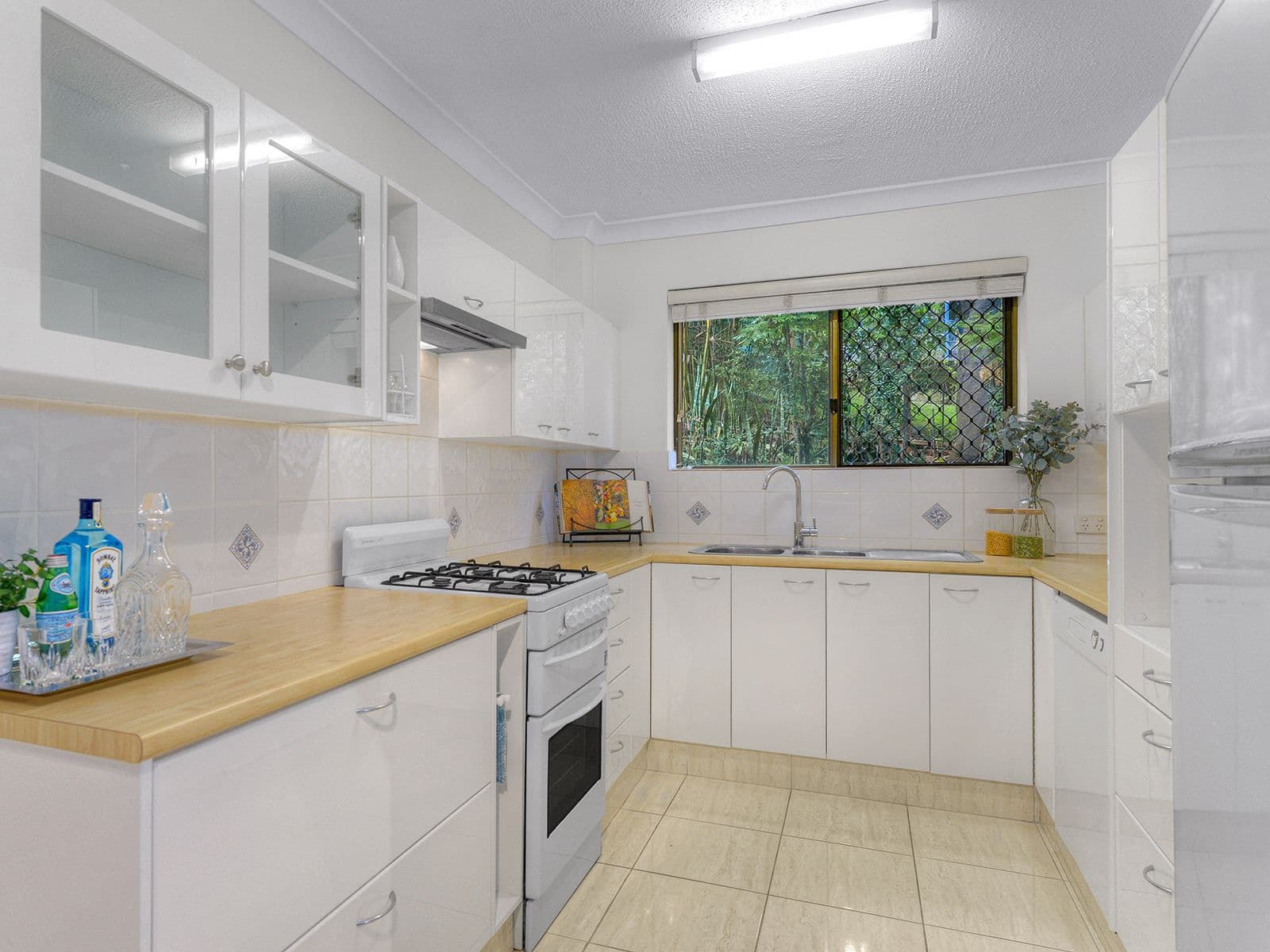 7 Norwood Terrace, Paddington QLD 4064, Paddington - Thumbnail 4