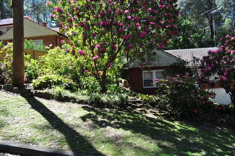 62 Castle Howard Road, Cheltenham NSW 2119, Cheltenham - Thumbnail 2