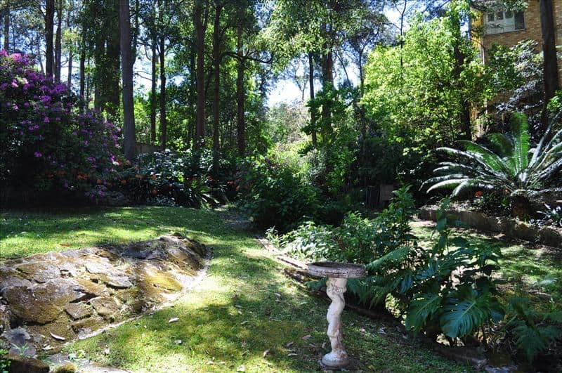 62 Castle Howard Road, Cheltenham NSW 2119, Cheltenham - Thumbnail 3