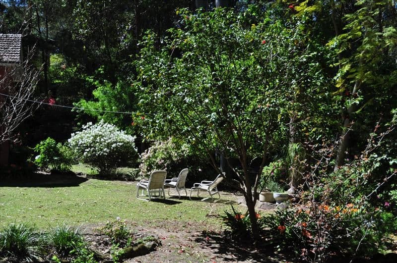 62 Castle Howard Road, Cheltenham NSW 2119, Cheltenham - Thumbnail 4