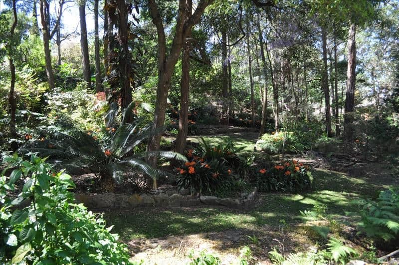 62 Castle Howard Road, Cheltenham NSW 2119, Cheltenham - Thumbnail 5