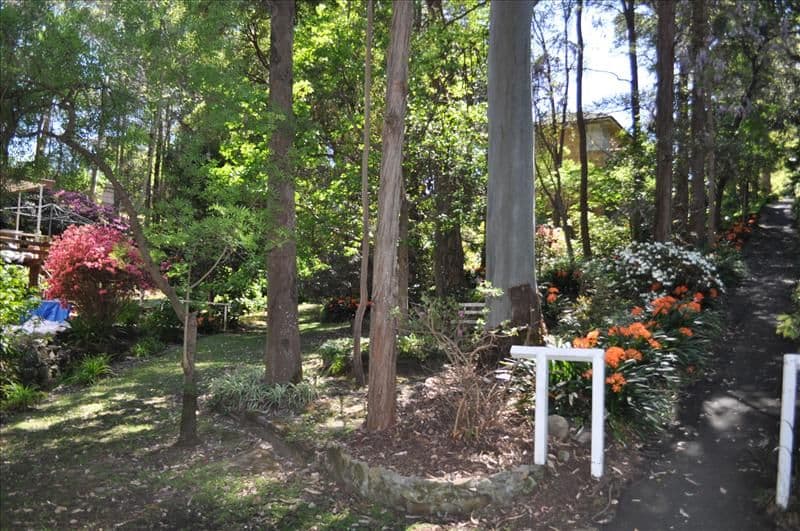 62 Castle Howard Road, Cheltenham NSW 2119, Cheltenham - Thumbnail 6