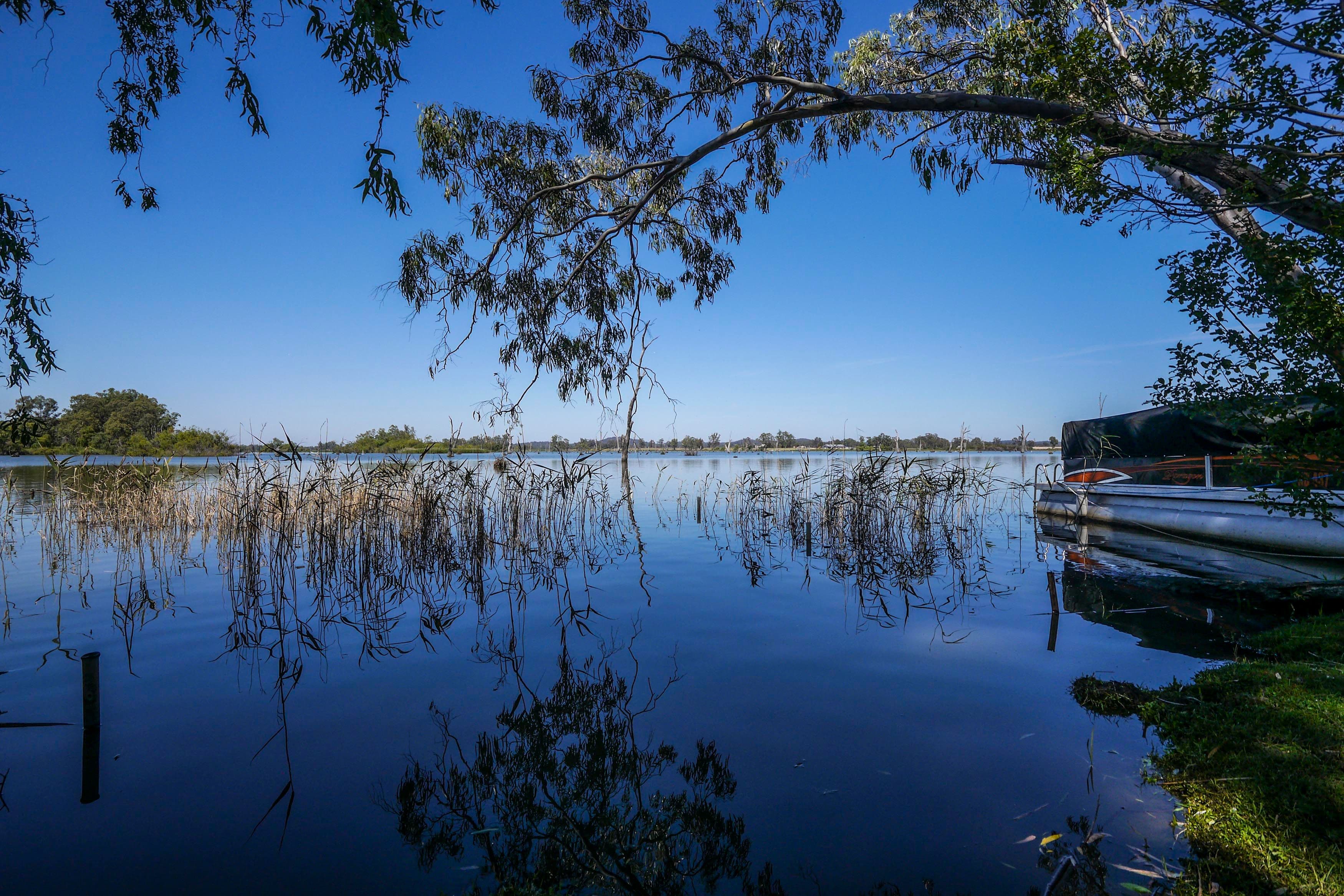 8 McLeod Street, Nagambie VIC 3608, Nagambie - Thumbnail 2