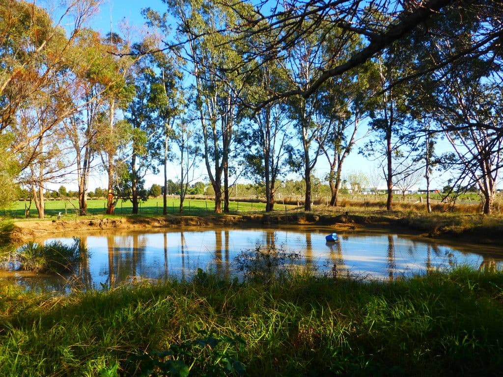220 Maryann Road, Echuca VIC 3564, Echuca - Thumbnail 3