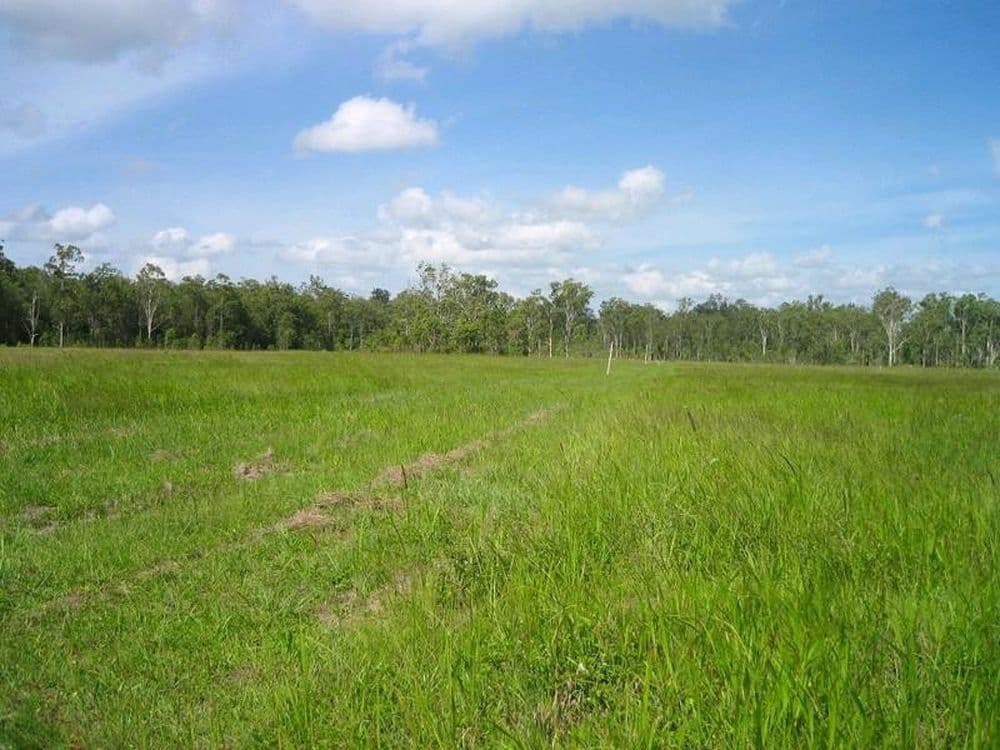 16 Madeira Place, Safety Bay WA 6169, Safety Bay - Thumbnail 2