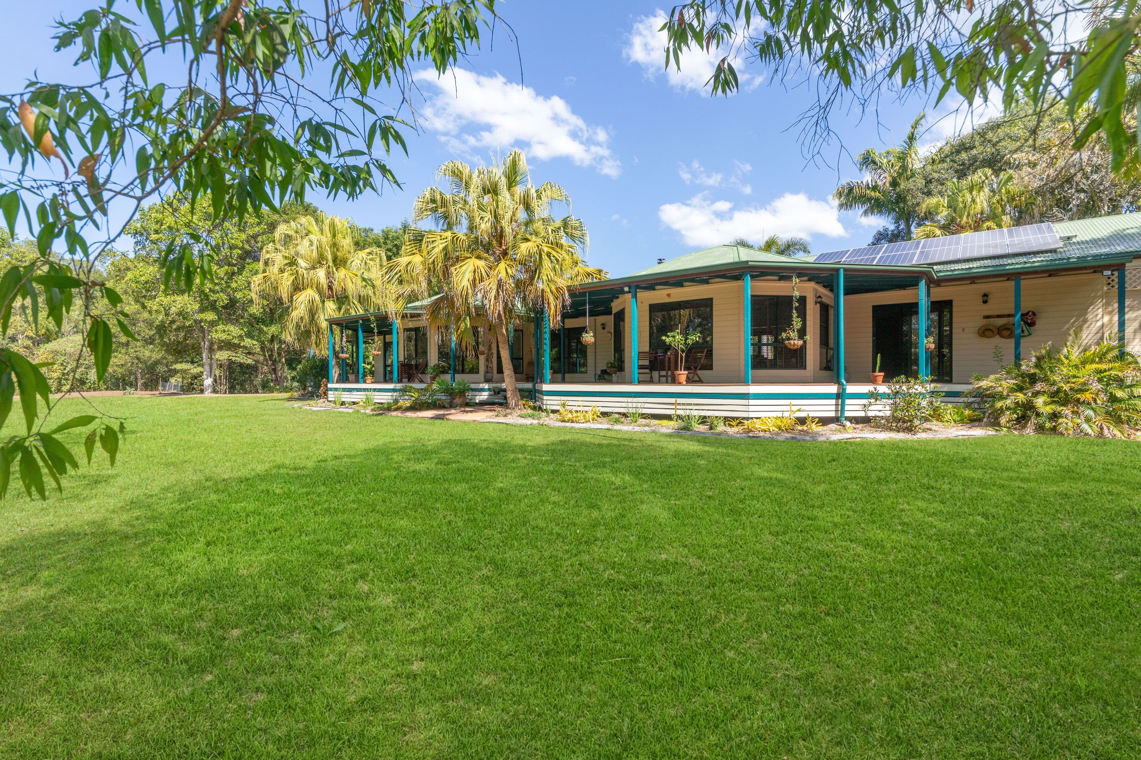 4 Coolibah Court, Mooloolah Valley QLD 4553, Mooloolah Valley - Thumbnail 4