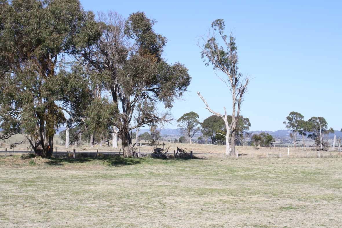 53 Sunnyview, Glen Innes NSW 2370, Glen Innes - Thumbnail 4