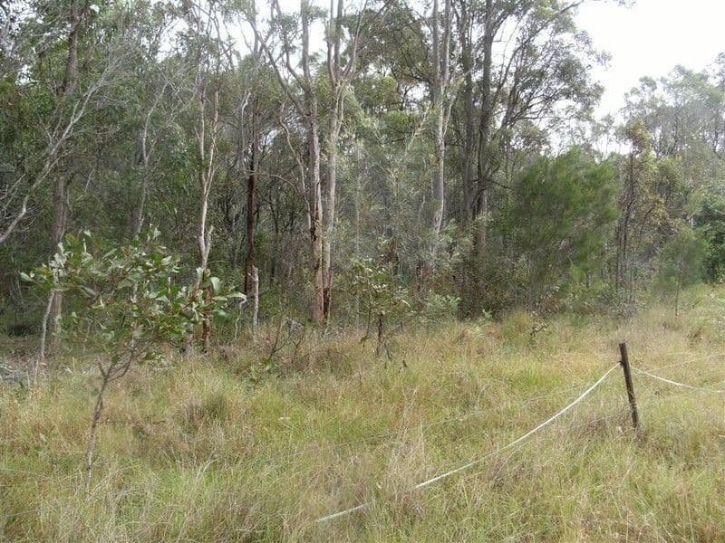 1395 Booral Road, SUNSHINE ACRES QLD 4655, Sunshine Acres - Thumbnail 3