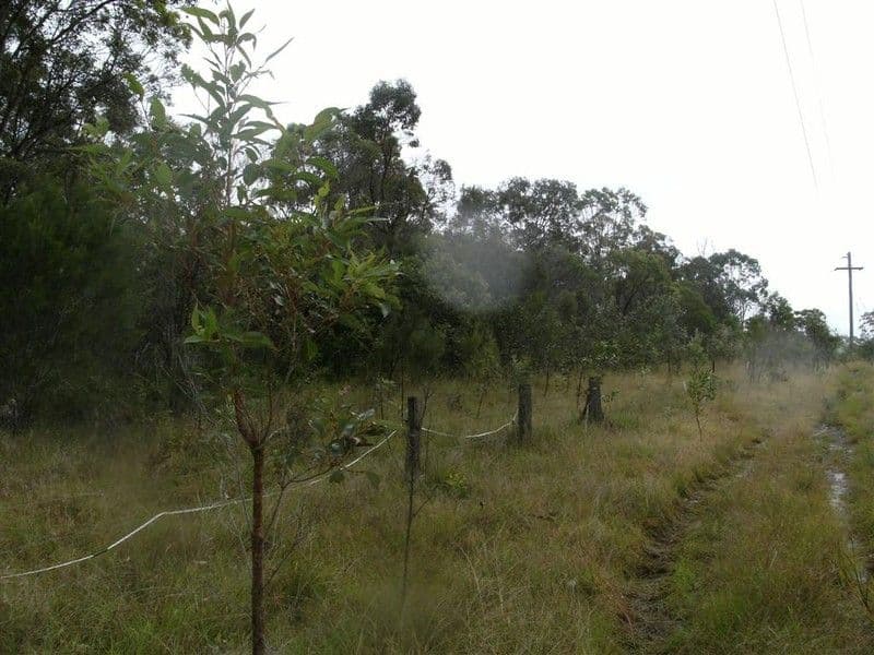 1395 Booral Road, SUNSHINE ACRES QLD 4655, Sunshine Acres - Thumbnail 4