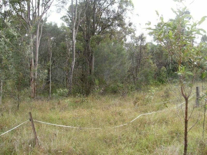 1395 Booral Road, SUNSHINE ACRES QLD 4655, Sunshine Acres - Thumbnail 5