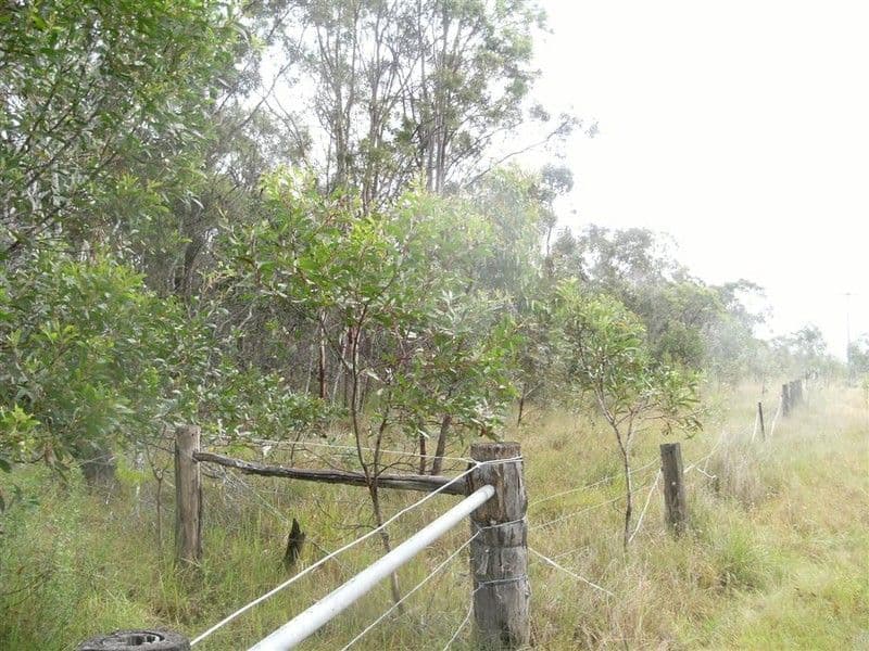 1395 Booral Road, SUNSHINE ACRES QLD 4655, Sunshine Acres - Thumbnail 6