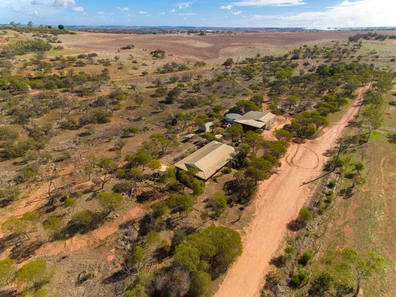 143 (lot 292) Forrest Street, Northampton WA 6535, Northampton - Thumbnail 2