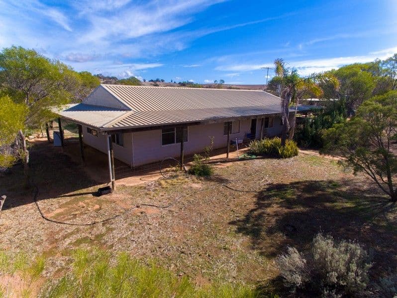 143 (lot 292) Forrest Street, Northampton WA 6535, Northampton - Thumbnail 6