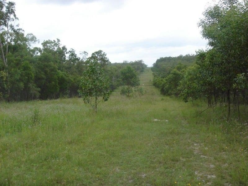 LOWMEAD QLD 4676, Lowmead - Image 1